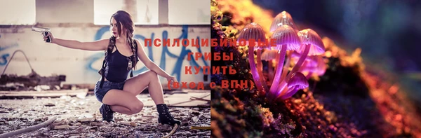 mdpv Лагань