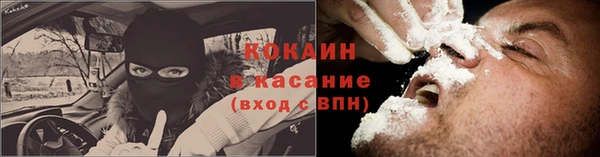 гидропоника Ладушкин