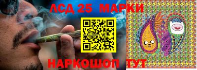 мяу мяу мука Гатчина