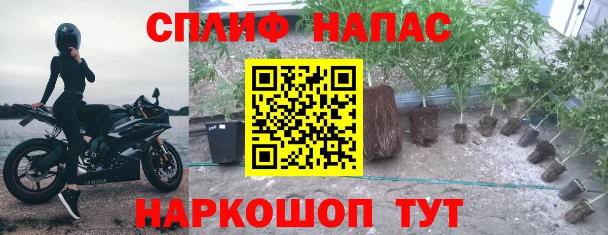 Тюмень  Бошки Шишки SATIVA & INDICA  Бошки Шишки MAZAR  Канабис гибрид  Вход с VPN  Каннабис планчик 